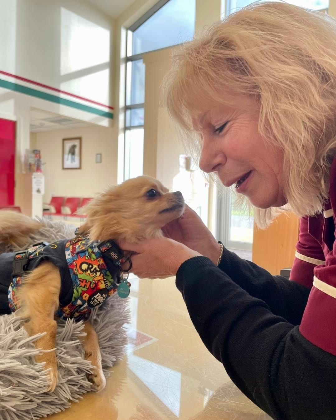 Caring for your Pets