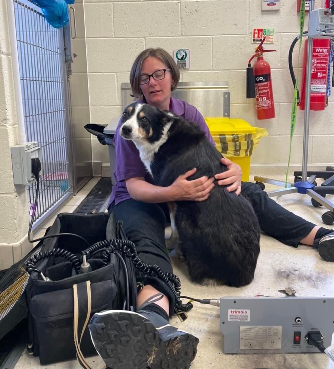 NADIA KOPEC comforts worried collie