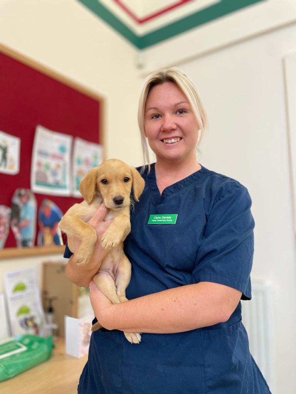 Advice and guidance from our veterinary nurses