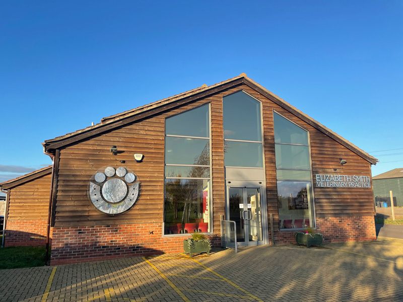 Dedicated vets for pets in the Biggleswade area!