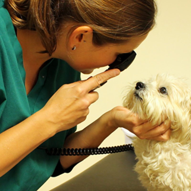 David Williams performing eye surgery at our practice