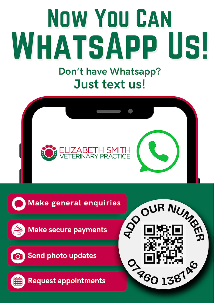 Contact Esmith Vets instantly with WhatsApp!