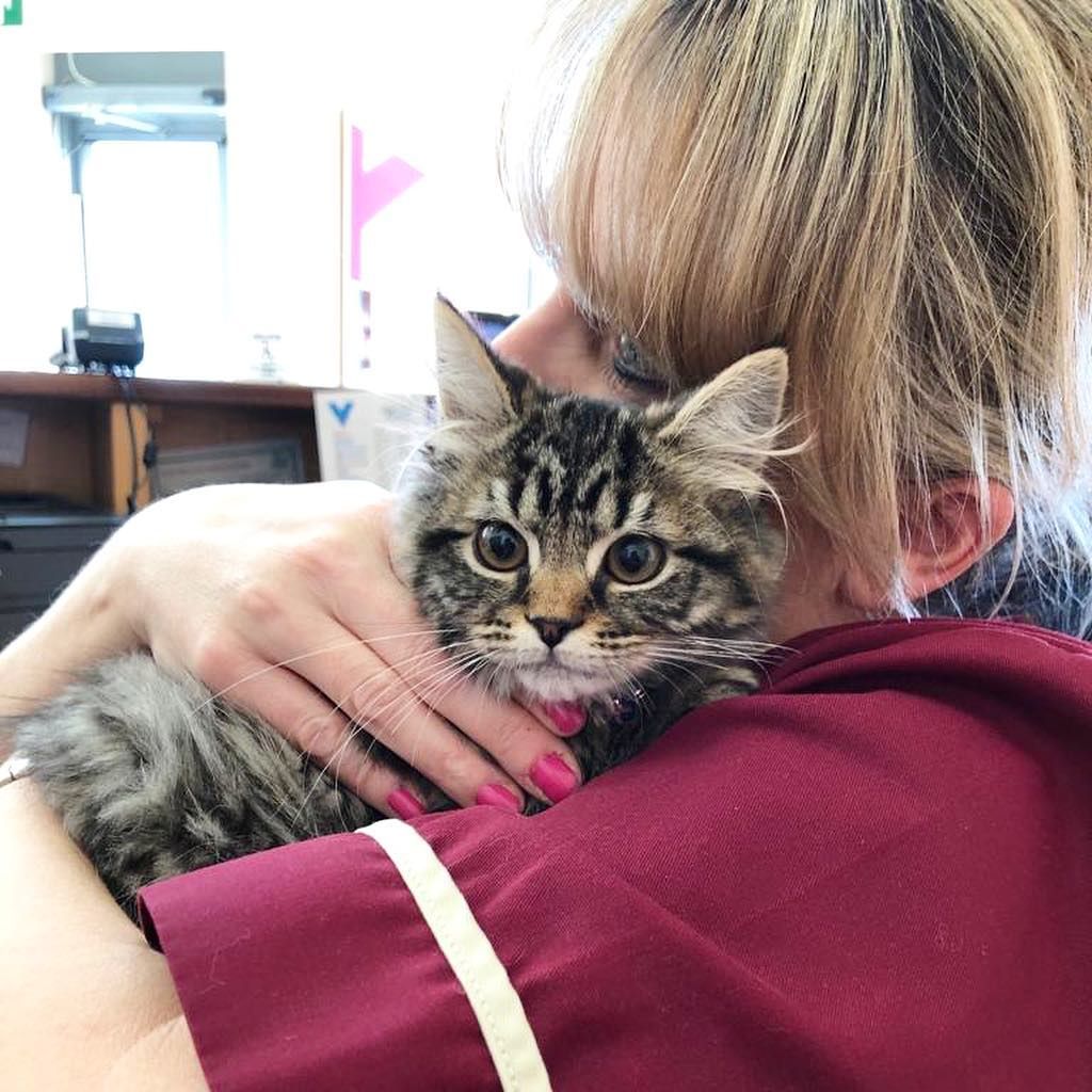 Pet care you can trust