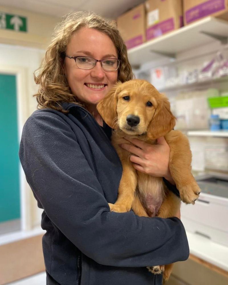 David Williams performing eye surgery at our practice